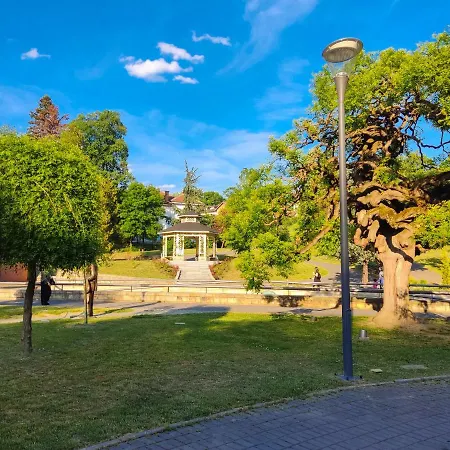 Magic Dream Lux 公寓 Vrnjačka Banja