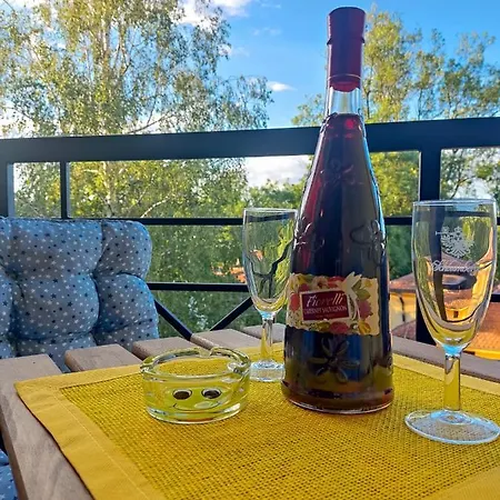 公寓 Magic Dream Lux Vrnjačka Banja