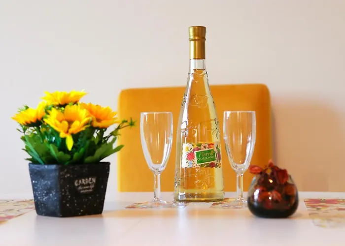 Magic Dream Lux Vrnjačka Banja