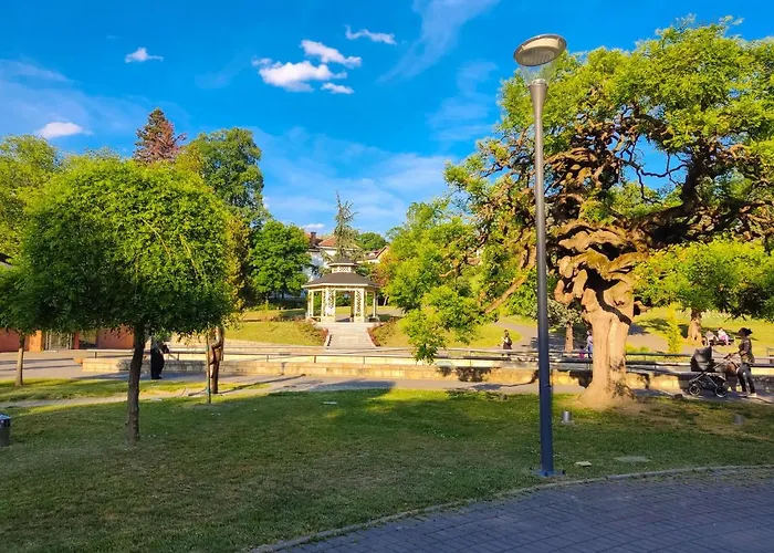 Magic Dream Lux 아파트 Vrnjačka Banja